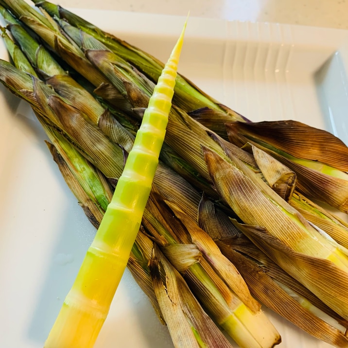 シンプルが美味しい!月山筍のグリル焼き